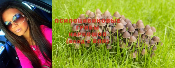стаф Заволжье